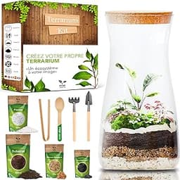 Kit Terrarium Plante DIY avec Verre