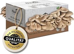 Hawlik Pilzbrut - Culture de pleurote en huître