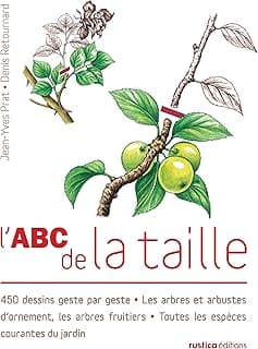 L’ABC de la taille