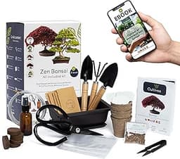 CULTIVEA® Kit Bonsaï Premium Prêt à Pousser