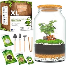 PYEF CRAFTS DIY Kit Terrarium Plante XL