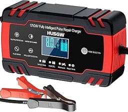 Husgw Chargeur batterie 12/24 V