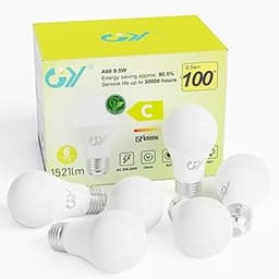 GY Ampoule LED E27 blanc froid