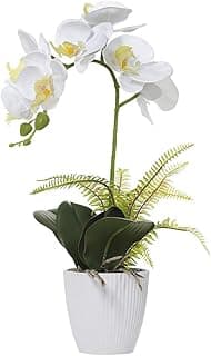 Orchidée Phalaenopsis Artificielle