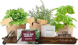 Kit Vintage d’Herbes Aromatiques Potager d'Intérieur (Thym Basilic Persil Coriandre)