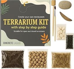 Kit de Terrarium pour Plantes succulentes et Cactus avec Guide étape par étape