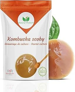 Natural Probio® Original Kombucha Scoby
