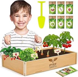 Kit Jardinage Enfant Plante à Faire Pousser