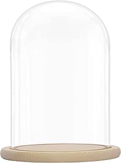 Cloche en verre Belle Vous