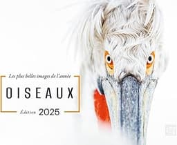 OISEAUX - Les plus belles images de l'année - Édition 2025