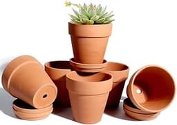 vensovo – 6 pots terre cuite 10 cm