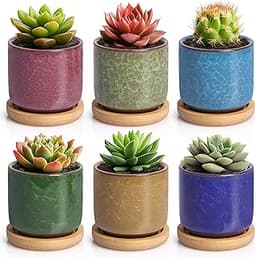 T4U 6cm Pots de Plantes en Céramique Zisha