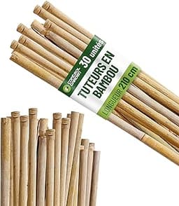 Control Garden Tuteurs en bambou 210 cm (lot de 30)