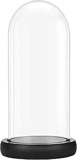 Cloche en verre BELLE VOUS