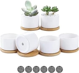 Fippy 6 pièces Petit Pot de Fleurs en Céramique Blanc