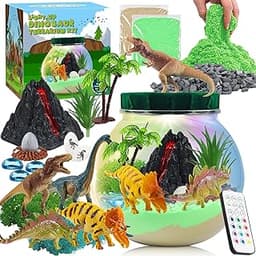 MYDOVA Bricolage Terrarium Craft Set