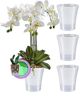 Lot de pots auto-arrosants ORCHIDEA
