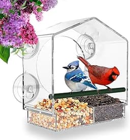 Mangeoire fenêtre acrylique oiseaux