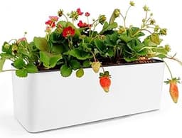 CAREDGO Pot de Fleurs d’Intérieur rectangulaire avec système d’irrigation et indicateur