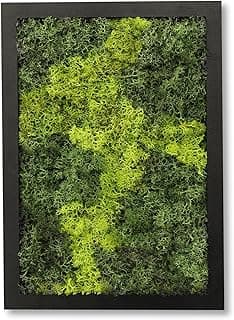 Tableau de Décoration Murale en Véritable Mousse