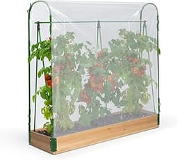 Serre à tomates spéciale croissance