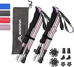 BISINNA Bâtons de randonnée