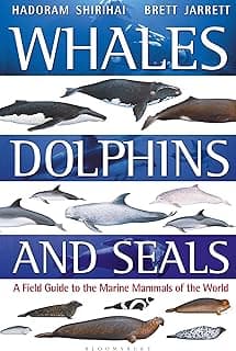 Whales, Dolphins and Seals