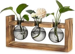 Glasseam station de bouturage en verre