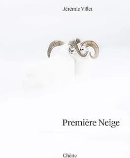 Première neige