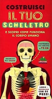 Costruisci il tuo scheletro e scopri come funziona il corpo umano