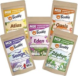 Mix bio à infuser kéfir/kombucha – découverte