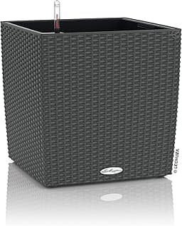 Lechuza Cube Cottage 30