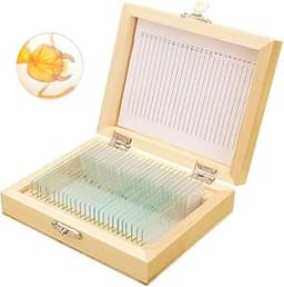 Coffret 25 lames préparées