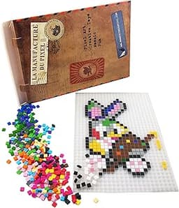 La Manufacture du Pixel - Pack 1 Grille et 900 pixels