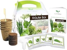 Magic of Nature Boîte d’herbes aromatiques BIO Classic