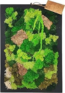 I GIARDINI DI GIULIA – Cadre rectangulaire de mousse et lichens stabilisés 30 x 40 cm