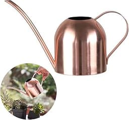 Arrosoir en acier inoxydable à long goulot