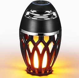 AOZBZ Enceinte Flamme