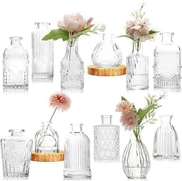 Avmvnvc Vases muraux