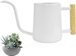 LPAMABA Arrosoir Acier Inoxydable 1000ml