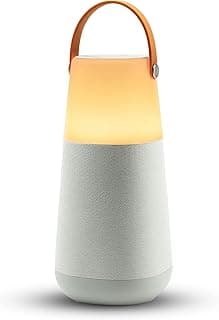 ION Audio Bright Max – Enceinte Bluetooth 360°