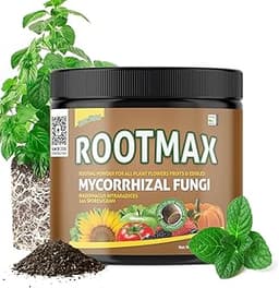 RootMax – Champignons mycorhiziens