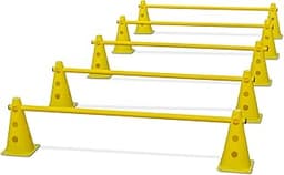 VINEX Haies d'entraînement