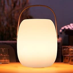 ZWOOS Lampe de Table Sans Fil