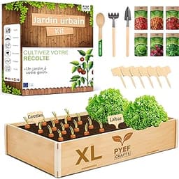 Kit potager intérieur PYEF CRAFTS