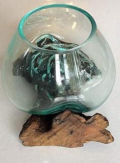 Vase Verre soufflé & Racine de Teck