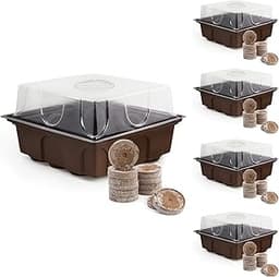 Mini‑serres avec pastilles de coco