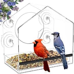 Jarkyfine Mangeoire à Oiseaux de fenêtre avec ventouses puissantes