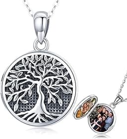 Friggem Collier Médaillon Arbre de Vie en Argent Sterling 925
