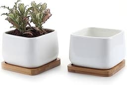 Pot de Succulent en Céramique